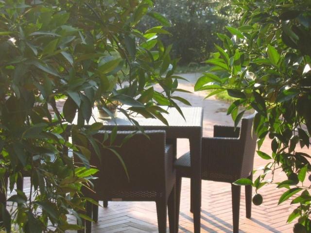 Al Melograno - Room & Breakfast Bologna Exterior foto